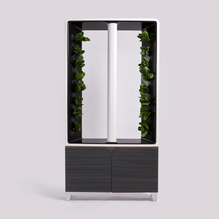 Gray unit with leafy green vegetables growing in a streamlined, modern design."