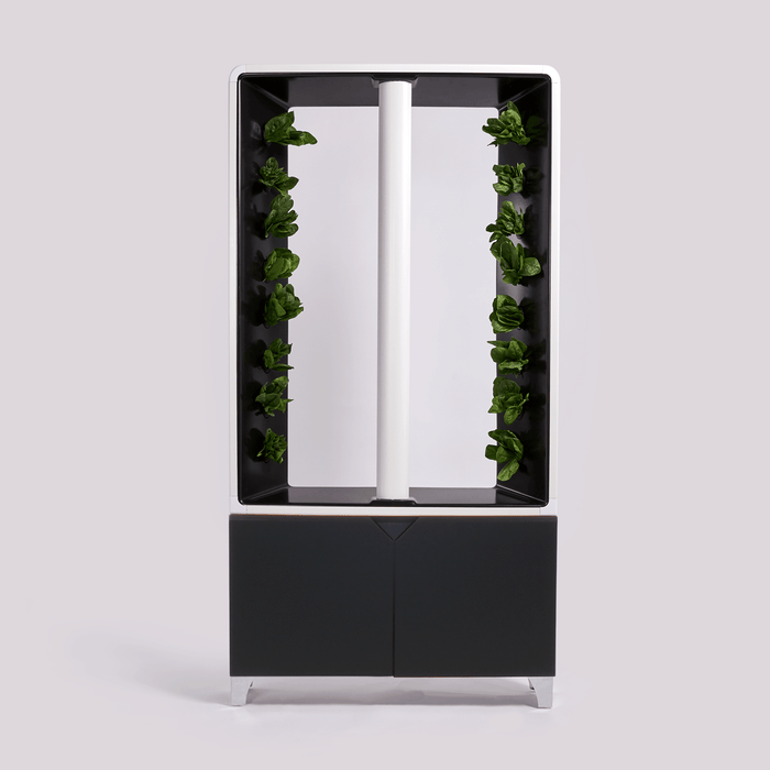 Black Aeva indoor garden unit with leafy green vegetables growing in a streamlined, modern design