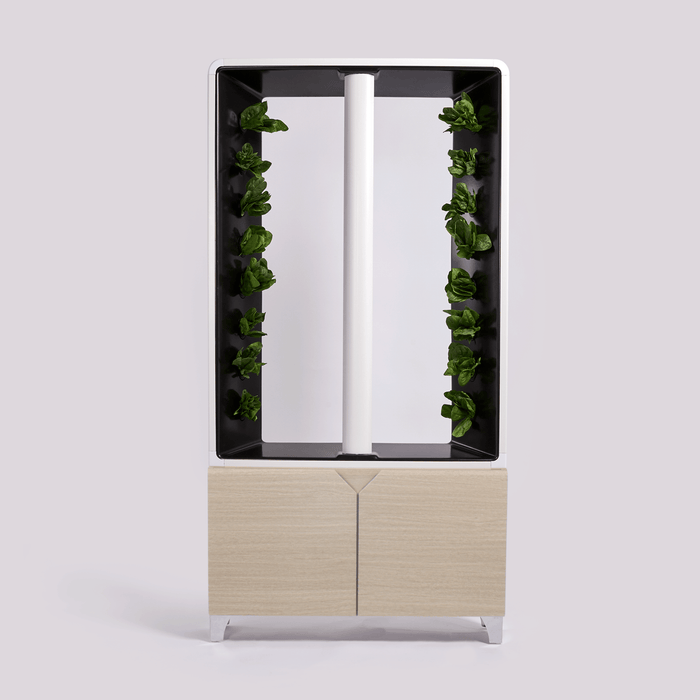 Millwood Oak unit with leafy green vegetables growing in a streamlined, modern design."
