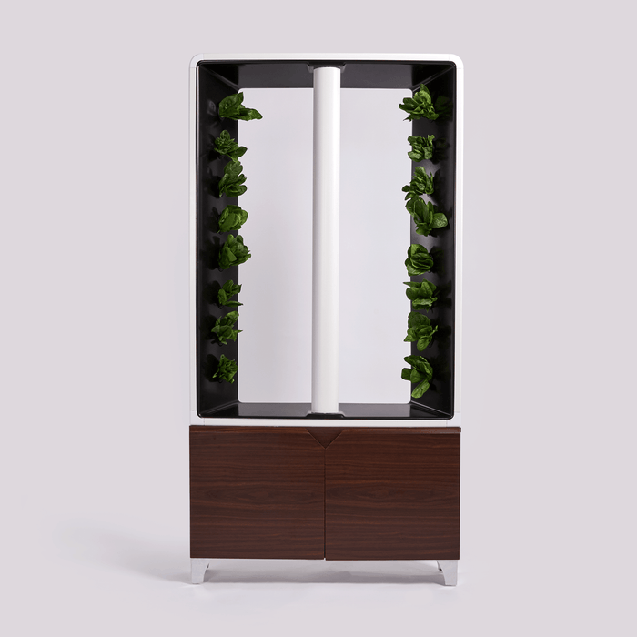 Walnut unit with leafy green vegetables growing in a streamlined, modern design."